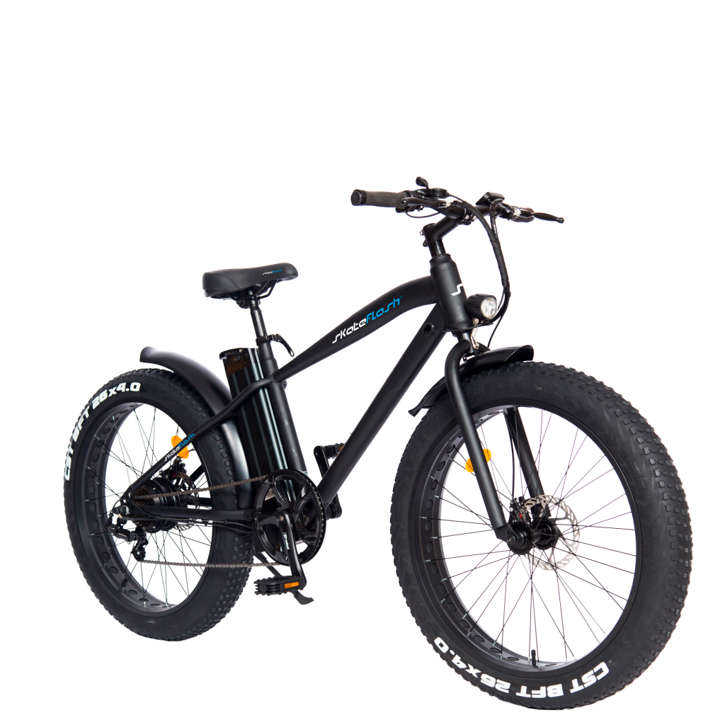El origen de la bicicleta eléctrica 3 Fat descargas